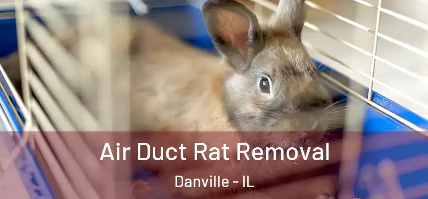  Air Duct Rat Removal Danville - IL