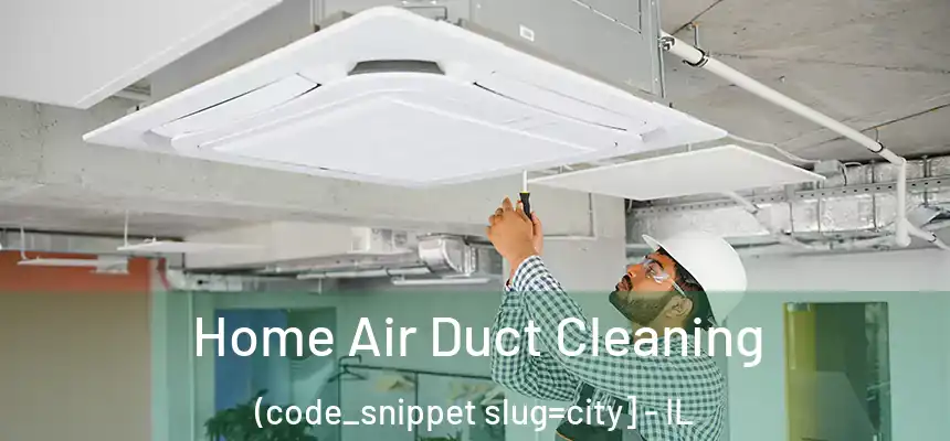  Home Air Duct Cleaning (code_snippet slug=city] - IL