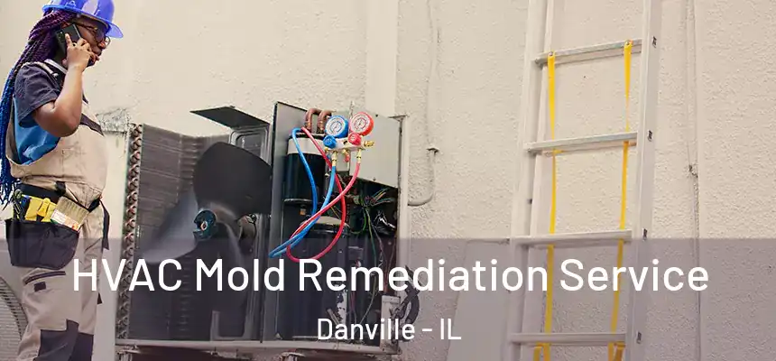  HVAC Mold Remediation Service Danville - IL
