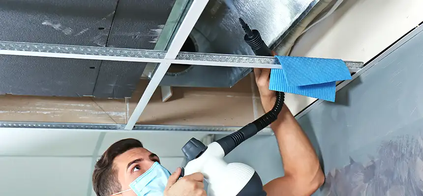 Our Air Duct Rodent Removal Services in Danville, IL