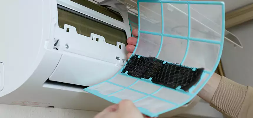 Gentle Ductwork Odor-Control Pet Dander Duct Cleaning in Danville, IL