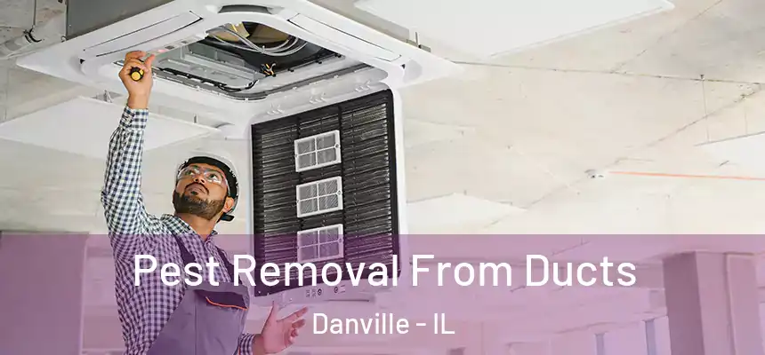  Pest Removal From Ducts Danville - IL