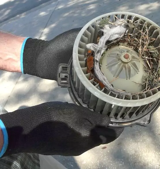 About Air Duct Mice Removal in Danville, IL