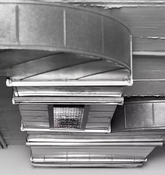 Professional Air Duct Pet Hair Removal in Danville, IL