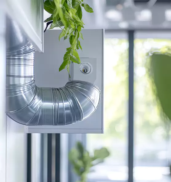 Professional Eco-Friendly Duct Cleaning Services in Danville, IL