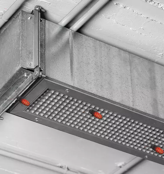 Affordable Insect Removal from Air Ducts in Danville, IL