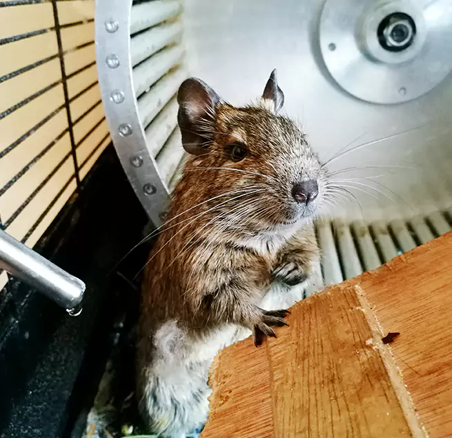 Why Homeowners & Businesses Trust Us Danville, IL