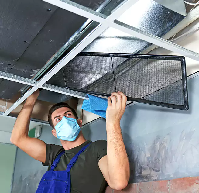 Why Homeowners Businesses Trust Us in Danville, IL