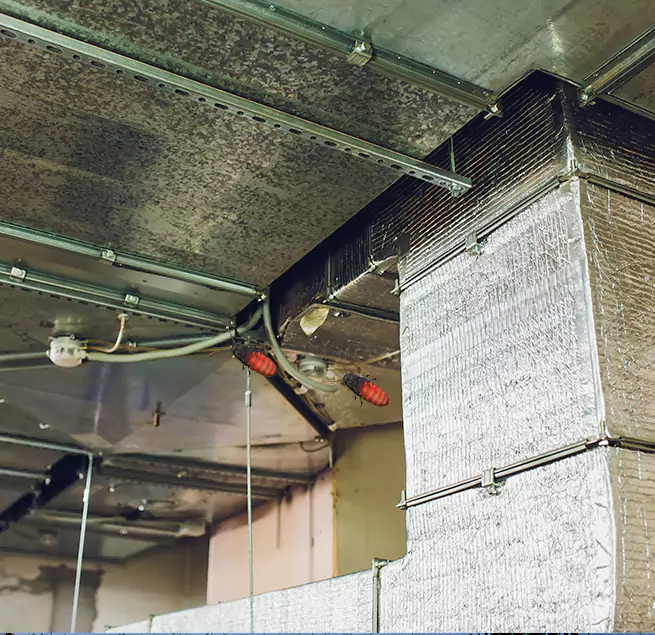 Why Homeowners & Businesses Trust Us Danville, IL?