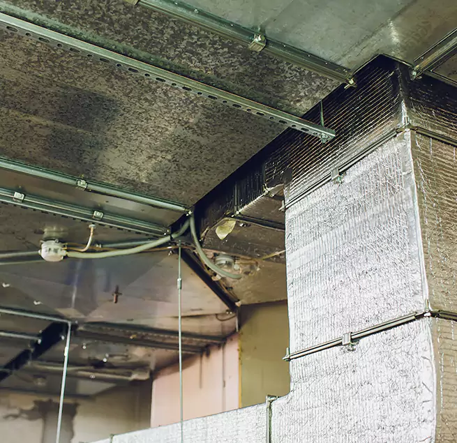 Why Homeowners & Businesses Trust Us in Danville, IL?